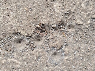Rough cement floor appears full of old sand