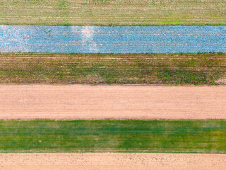 Pole uprawne widziane z lotu ptaka. Polska wieś. Krajobraz rolniczy Polskiej wsi. Tekstura © hunter76