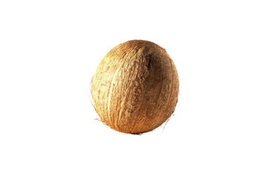 High Definition 4K Image of Coconut on Transparent Background with Clear Details and Natural Texture Perfect for Culinary Arts, Stock Media, and Graphic Design