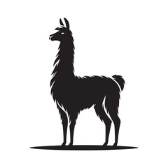 Fototapeta premium Llama Silhouette, Stylish icon, template, background, tattoo. Print for t-shirt. Hand drawn vector illustration, Llama black vector, isolated.