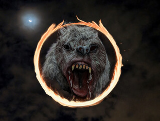 halloween, holiday, mask, funny, dark humor, background, colors,