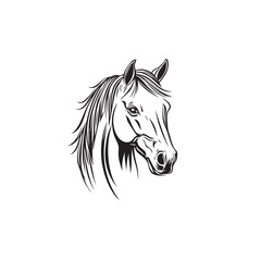 Vector silhouette of a Horse's head