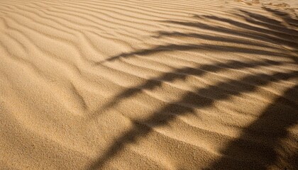 Fototapeta premium Sand with shadow from palm leaves. Texture of the ground with tropical plants. Beige template for design with sun. sand dunes in the desert