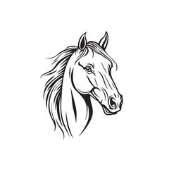 Vector silhouette of a Horse's head