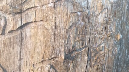 Old wooden texture, background