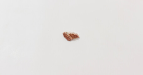 Naklejka premium A small, brown seashell fragment lies on plain, beige background, capturing minimalist natural aesthetic.