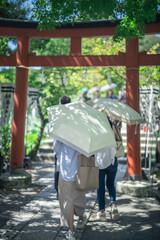 神社と木漏れ日と日傘