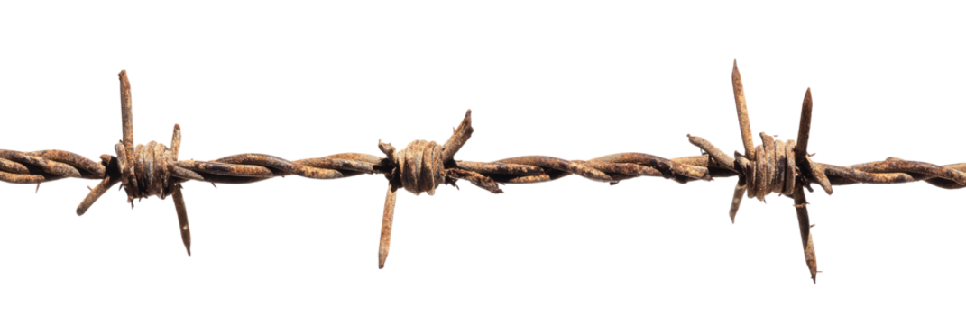 Barbed wire isolated Png, transparent without background.
