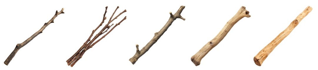 Fototapeta premium Wooden stick branch set isolated Png, transparent without background.