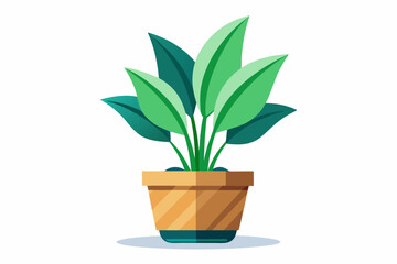 Home Plant Icon Illustrations