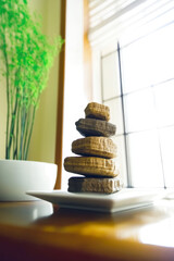 Balanced zen stones on a plate with green plant in sunlit room