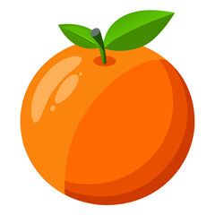 illustration of orange fruit - vector illustration of orange isolated on white, orange vector art