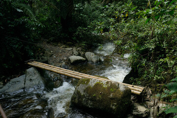 Bamboo bridge over river in Colombia