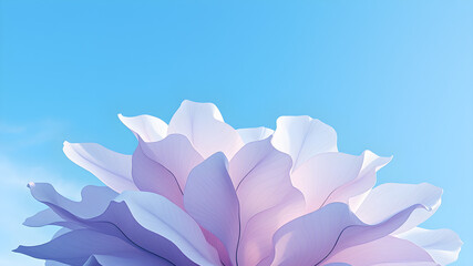 background colorful images