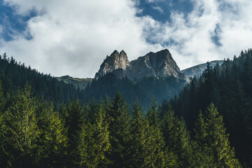 amazing beautiful landscape of rocky mountain peaks with old pine trees at end of summer with clouds