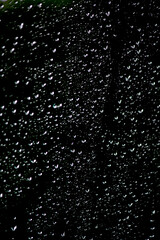 raindrops on window on car windshield	