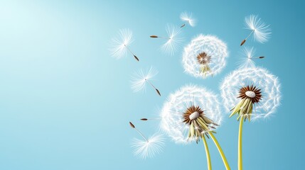 Airy Pastel Illustration of Delicate Dandelions