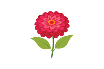  Zinnia flower vector artwork illustration 