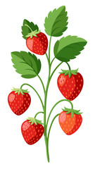 strawberry with leaves - vector illustration of strawberry isolated on white, strawberry vector art