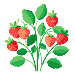 strawberry on a branch - vector illustration of strawberry isolated on white, strawberry vector art