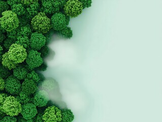 Aerial view of a reforested area acting as a carbon sink to offset emissions, climate change mitigation, carbon offset projects