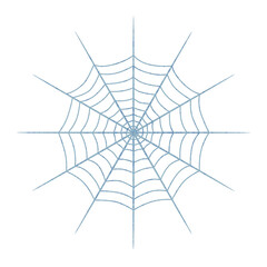 Obraz premium くもの巣