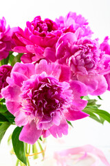 Bouquet of pink peonies.