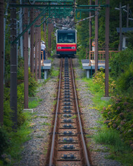 Fototapeta premium まっすぐな線路を走るローカルな電車