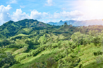 Naklejka premium hills full of trees and grass with mountains and clouds in the background with blue sky