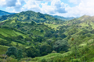 hills full of trees and grass with mountains and clouds in the background