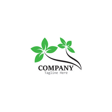 leaf logo vector