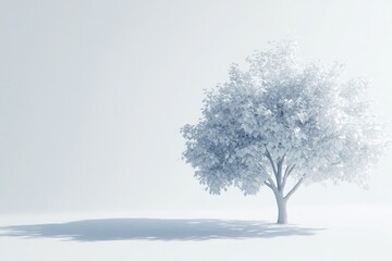 Fototapeta premium A Single Tree Standing on a White Landscape