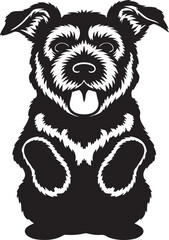 Dog Grooming Basics
Types of Cuts:

Puppy Cut: A simple trim for puppies to keep them comfortable.
Breed-Specific Cuts: Specific styles that enhance a breed's characteristics (e.g., Poodle clips