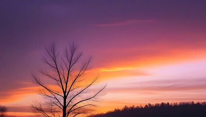 A dramatic sky over a forest, showcasing an orange and purple sunset with silhouettes of bare branches and trees against the sky.