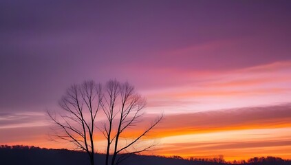 Obraz premium A dramatic sky over a forest, showcasing an orange and purple sunset with silhouettes of bare branches and trees against the sky.