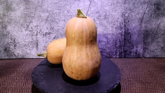 calabaza ecologica agricultura  campo verdura
