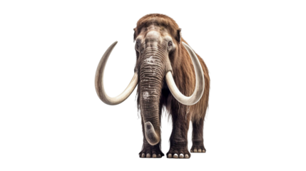 Woolly mammoth isolated on white background isolated on transparent background