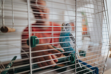 A blue budgie perched in its birdcage while engaging with a person in a red shirt. The scene exudes a warm and friendly home atmosphere.