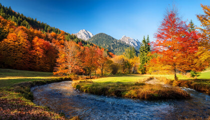 Autumn in the Bavarian Forest