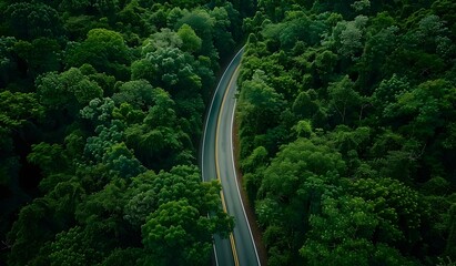 Aerial View of Winding Forest Road Surrounded by Lush Greenery and Vegetation