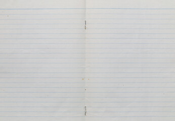 Blank Notebook Pages with Light Blue Lines