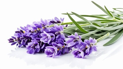 Fototapeta premium A bouquet of lavender flowers with green leaves on a reflective surface.