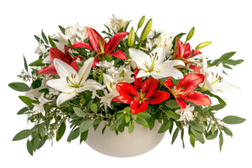 Vibrant bouquet of red and white lilies in a decorative pot, enhancing any space with natural beauty isolated on transparent background.
