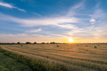 A field of golden wheat with a bright sun in the sky