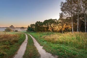 A road in a field with trees in the background