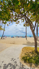 people relaxing and playing at Waikiki Beach with blue ocean water, lush green palms, blue sky and clouds in Honolulu Hawaii USA