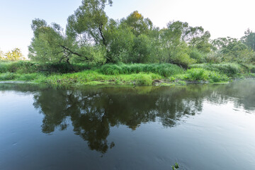 A calm body of water with trees in the background