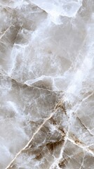 Obraz premium Elegant polished stone texture for design projects and backgrounds