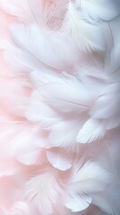 Ethereal white feathers with soft pink backdrop for spring decor