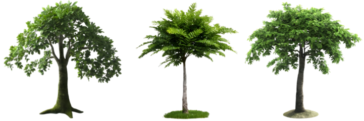 set of tree isolated on white background. AI GENERATED